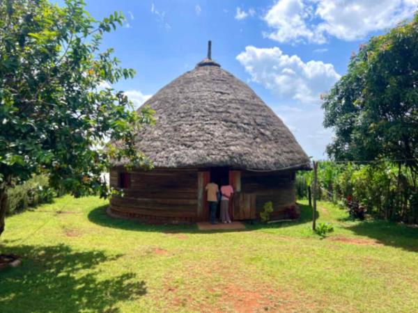 Gurage homestay and trekking holiday, Ethiopia