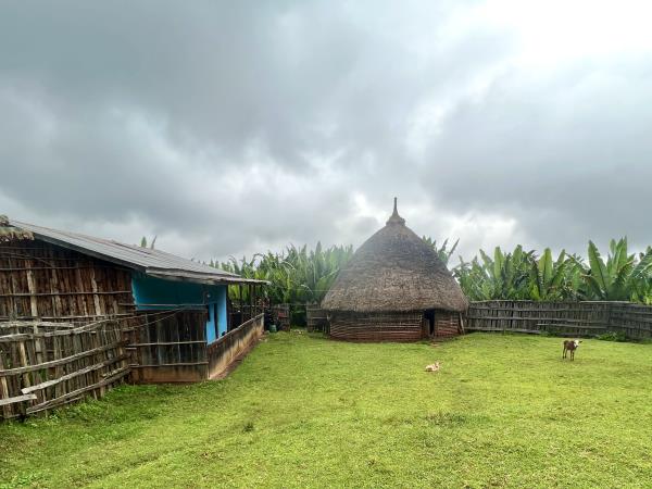 Gurage homestay and trekking holiday, Ethiopia