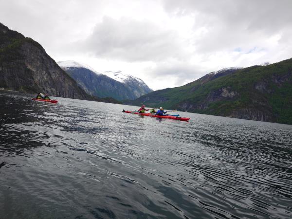 Norwegian Mountains and fjords electric self drive