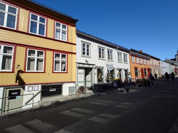 Norway by railway and boat holiday