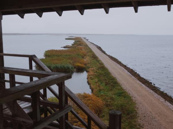 Latvia electric self drive holiday