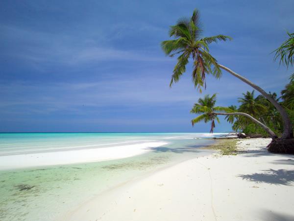 Maldives marine conservation cruising holiday