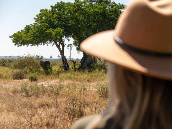 Northern Ruaha National Park holiday, Tanzania