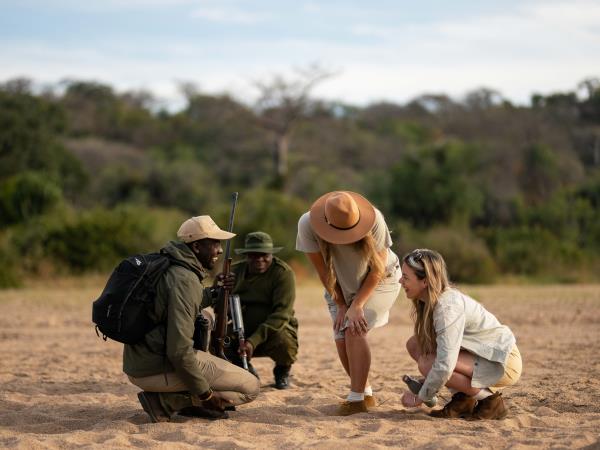 Northern Ruaha National Park holiday, Tanzania