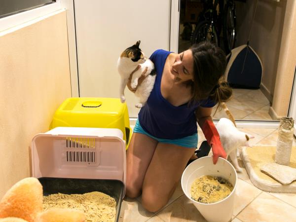 Animal welfare volunteering holiday in Greece