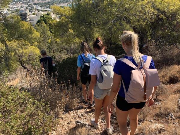 Animal welfare volunteering holiday in Greece