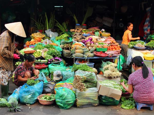 Central Vietnam caves and cultural tour 