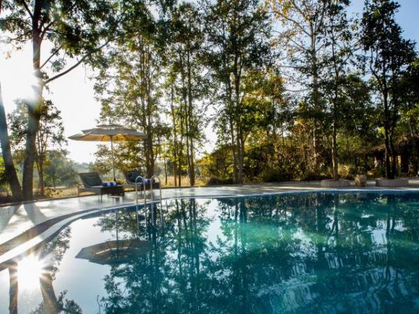 Tiger safari small group tour in India 