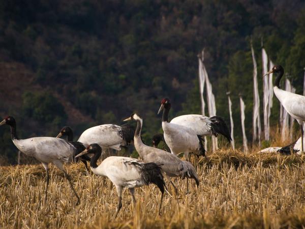 Bhutan active slow travel holiday