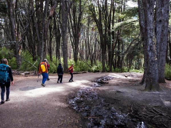 Patagonia Lake District multi activity holiday