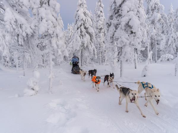 Finland activity holiday and Northern Lights