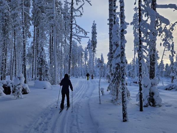 Finland activity holiday and Northern Lights