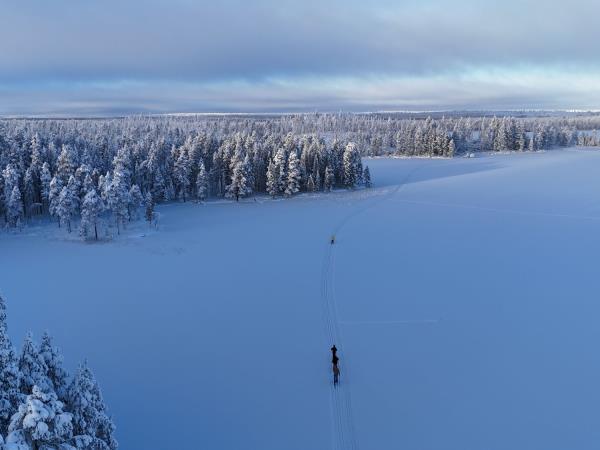 Cross-country skiing holiday in Finland's eastern wilderness