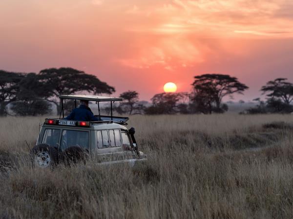 Tanzania safari and Zanzibar beach holiday