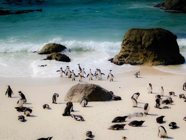 Classic South Africa self drive holiday