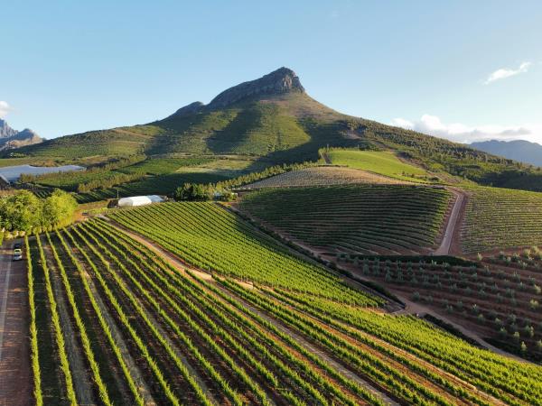 Classic South Africa self drive holiday