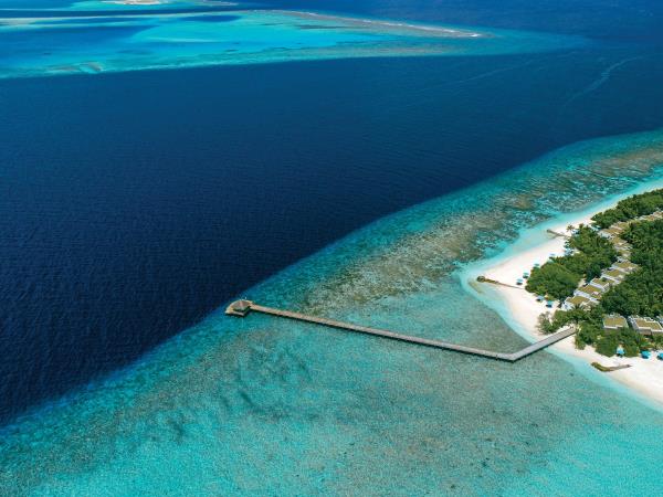 Kerala highlights and Maldives holiday