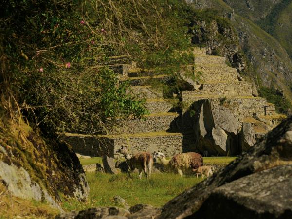 Tailor made holiday in Peru