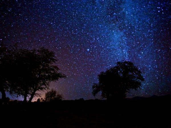 Chile luxury 2 week holiday, tailor made