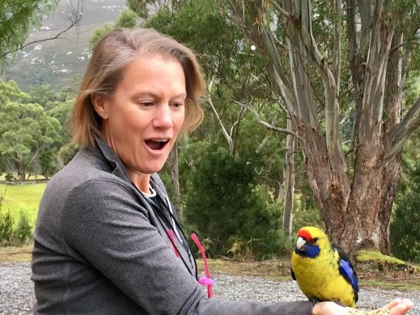 Tasmania bird watching holiday, Australia