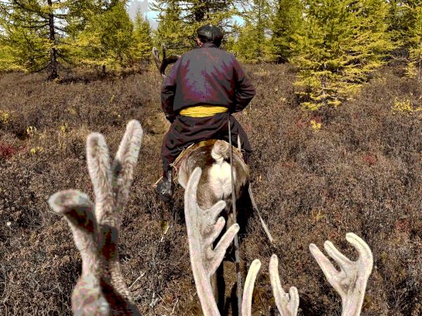 Mongolia Tsaatan reindeer herders group tour