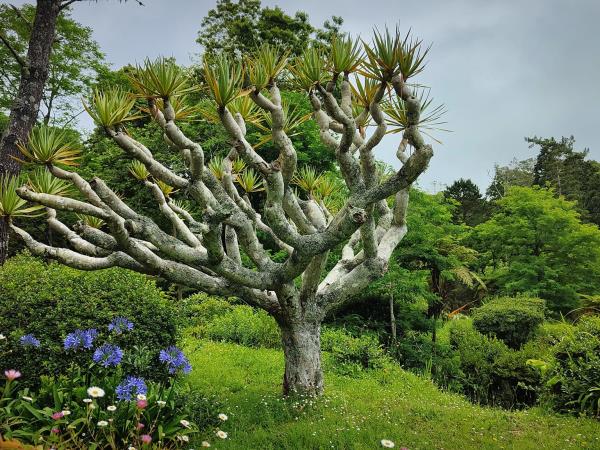 Central Azores sailing holiday, island hopping