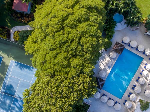 Barbados relaxing beach honeymoon