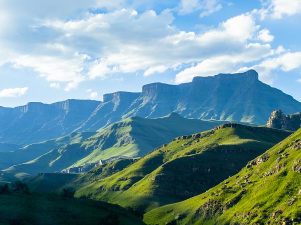 South Africa, wine, whales & safari self drive holiday 