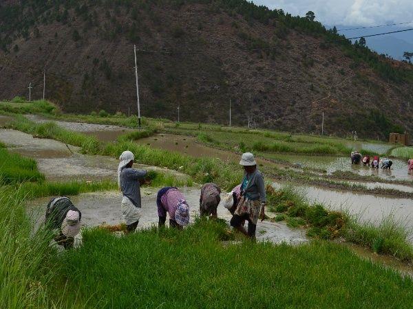 Bhutan cultural holiday 