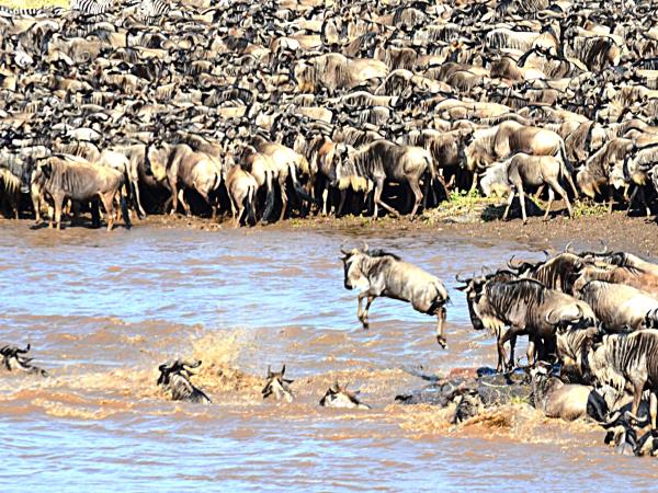 Tanzania Great Migration and Serengeti Safari holiday