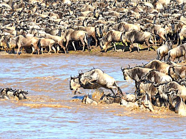 Tanzania national park safari holiday