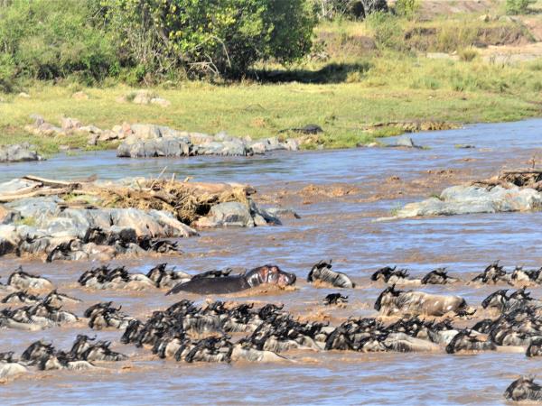 Tanzania national park safari holiday