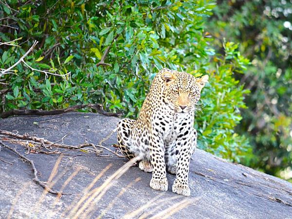 Tanzania national park safari holiday