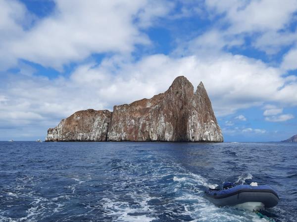 Galapagos conservation project