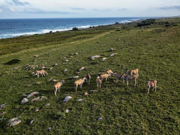 South Africa nature and activity holiday