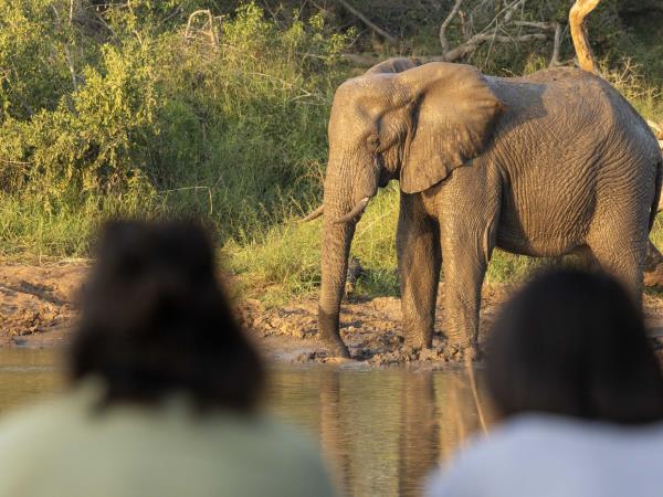 Professional field guide course, Southern Africa