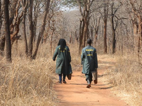 Zambia elephant conservation holiday
