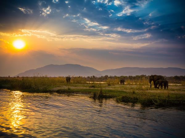 Zambia elephant conservation holiday