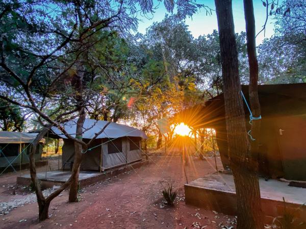 Zambia elephant conservation holiday