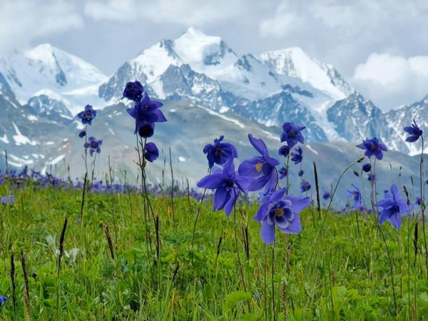 Horse riding holiday in Kazakhstan 