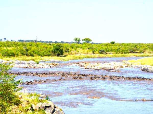 Tanzania Great Migration and Serengeti Safari holiday