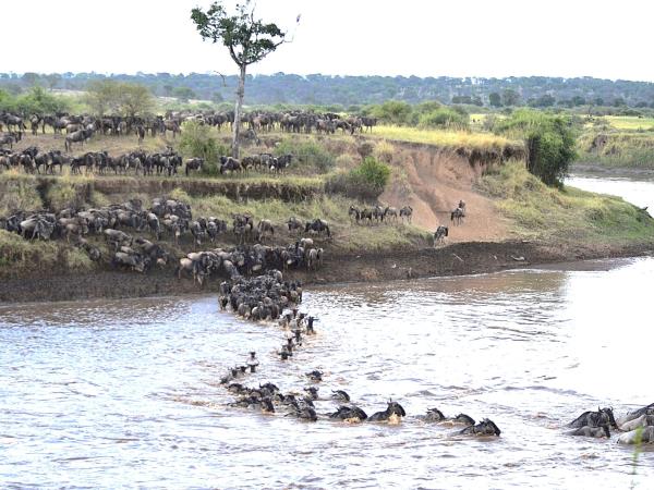 Tanzania national park safari holiday