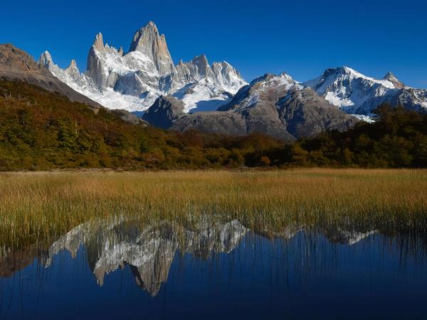 Wild puma tracking holiday in Patagonia