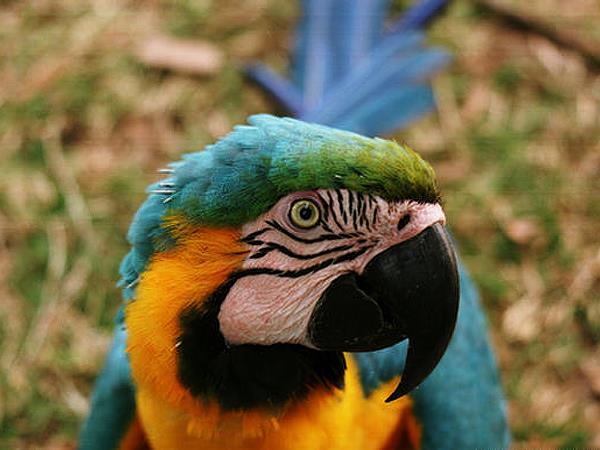 Bolivia holiday, jungle to desert