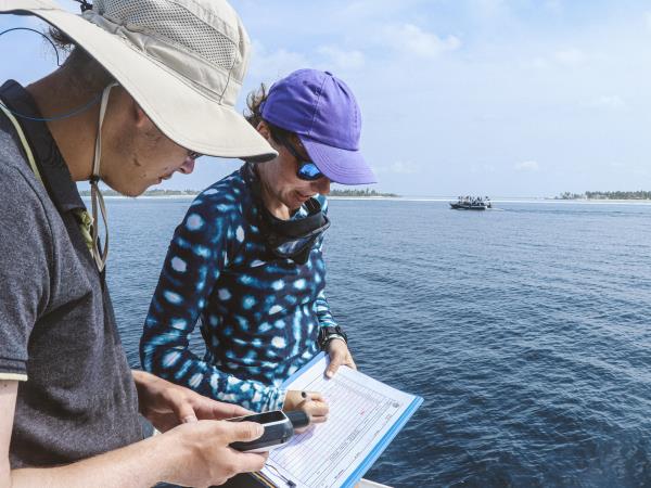 Liveaboard whale shark conservation holiday, Maldives