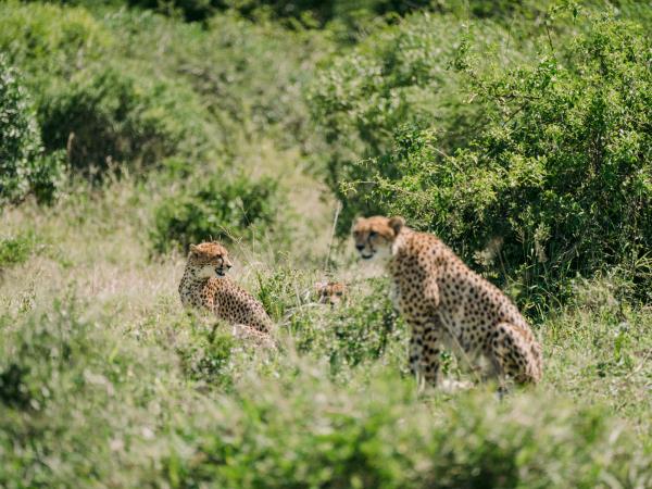 Zululand wildlife conservation holiday in South Africa