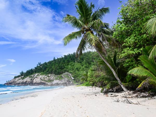 Marine conservation holiday in the Seychelles