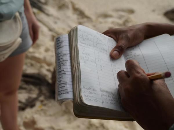 Marine conservation holiday in the Seychelles