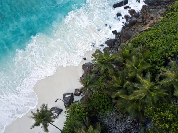 Marine conservation holiday in the Seychelles