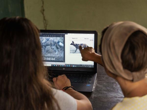 Malawi wildlife conservation holiday